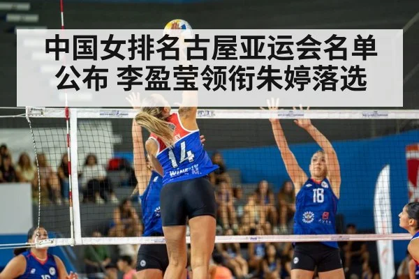 volleyball match