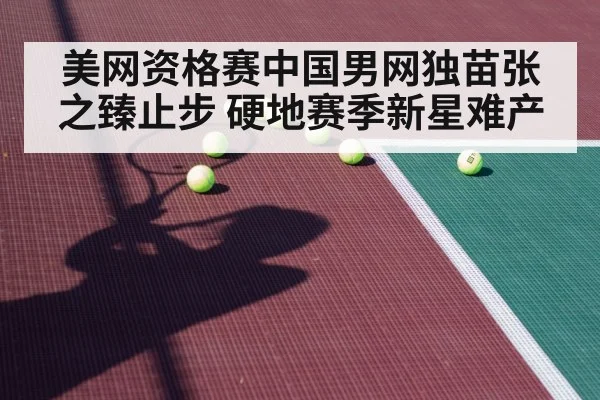 美网资格赛中国男网独苗张之臻止步 硬地赛季新星难产